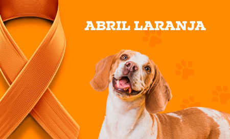 🧡 Abril Laranja