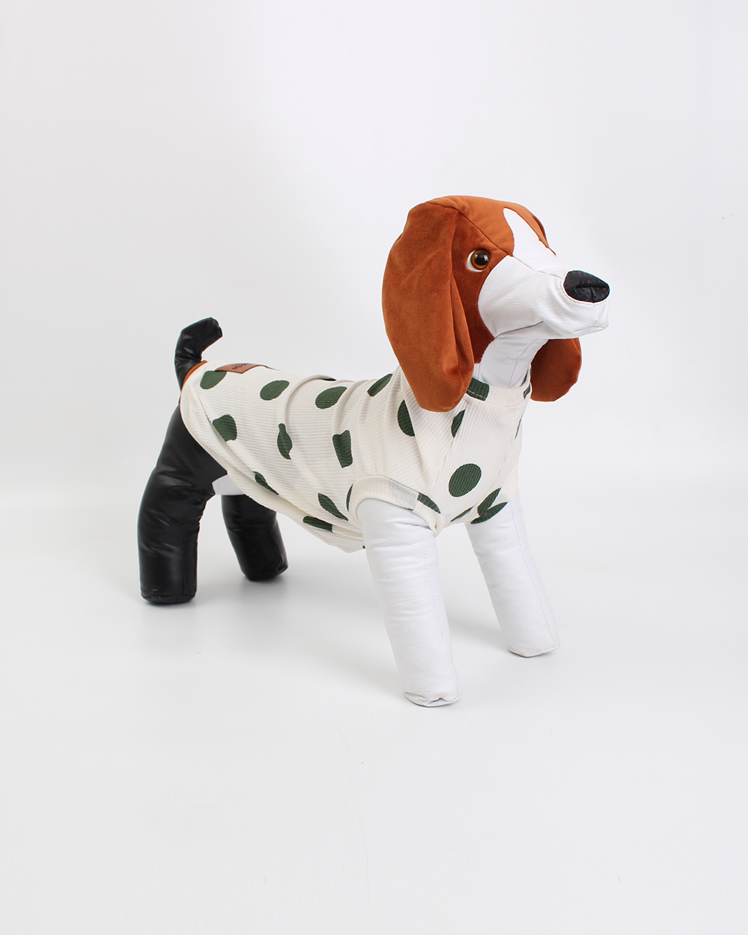 REGATA PARA PET YAaYoOi