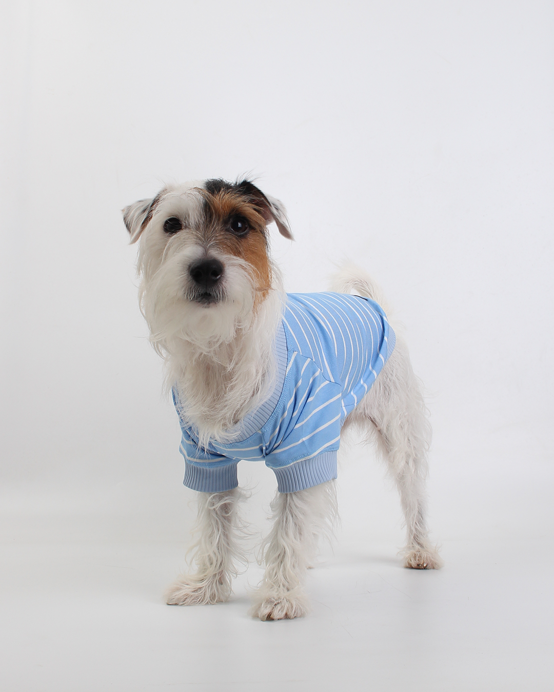 CAMISETA PARA PET LISTRAS AZUL SKY