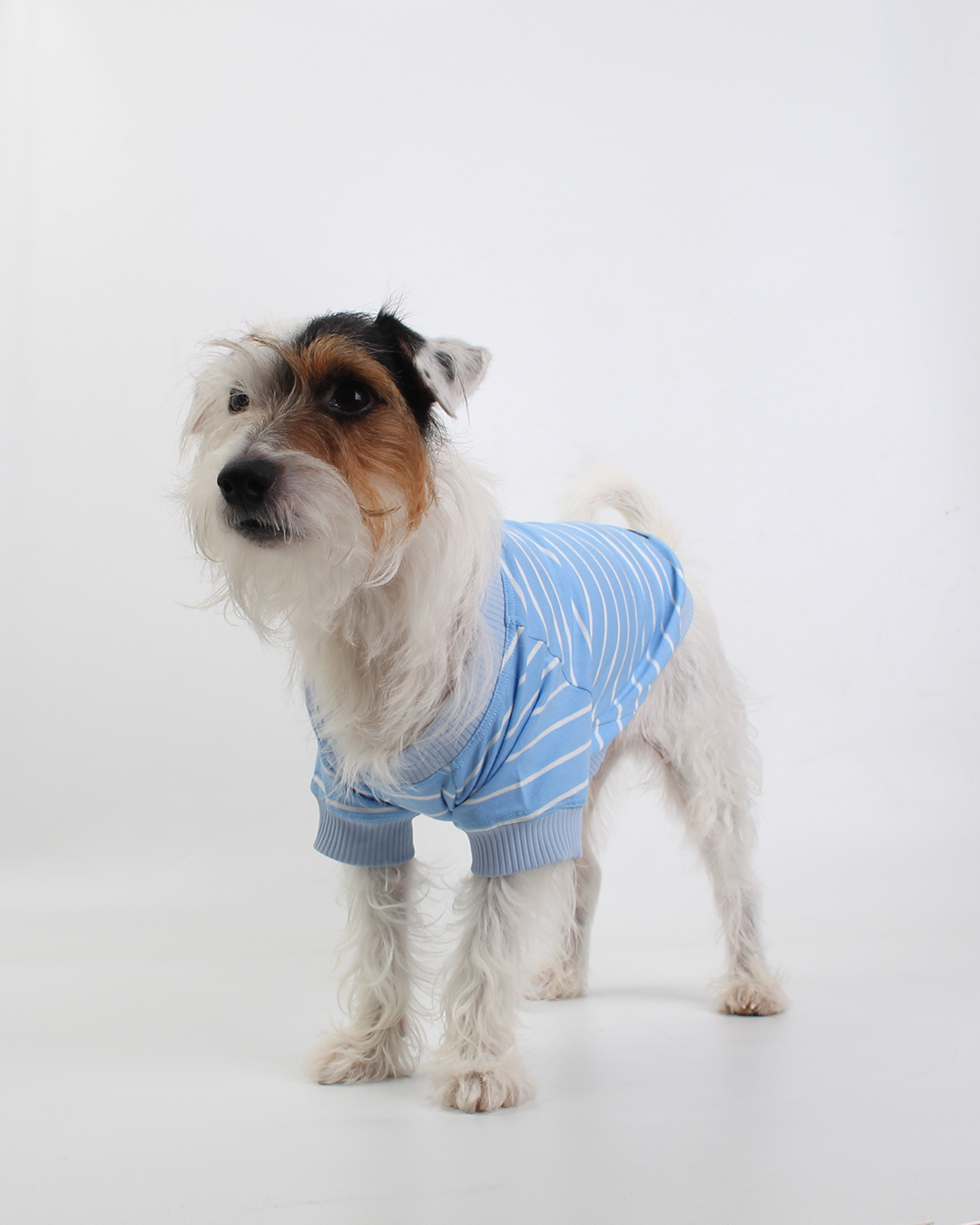 CAMISETA PARA PET LISTRAS AZUL SKY