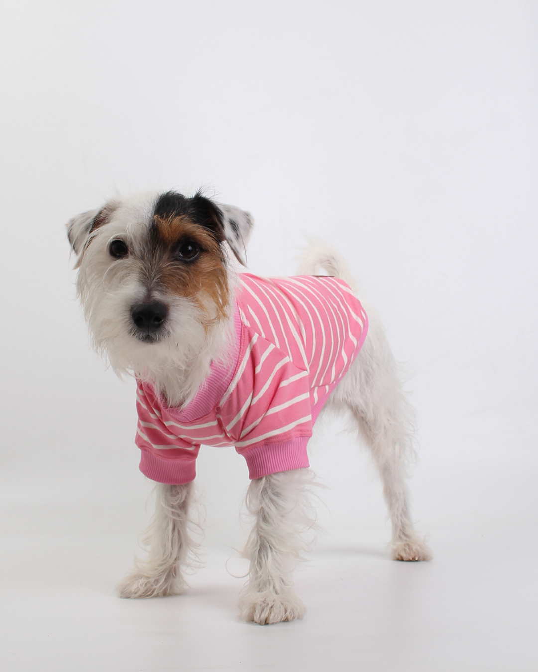 CAMISETA PARA PET LISTRAS ROSA PEEPO