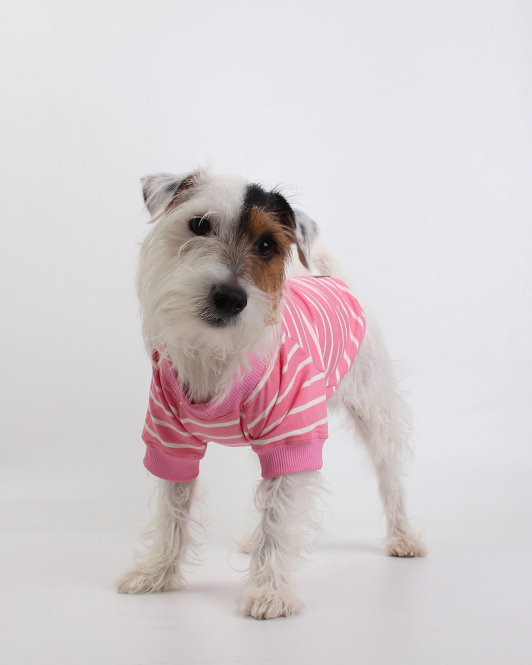 CAMISETA PARA PET LISTRAS ROSA PEEPO