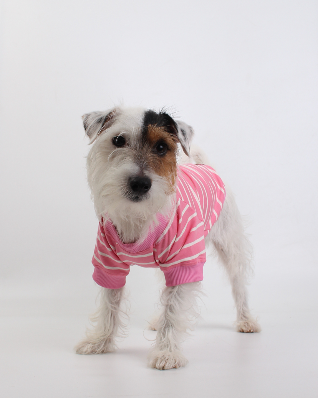 CAMISETA PARA PET LISTRAS ROSA PEEPO