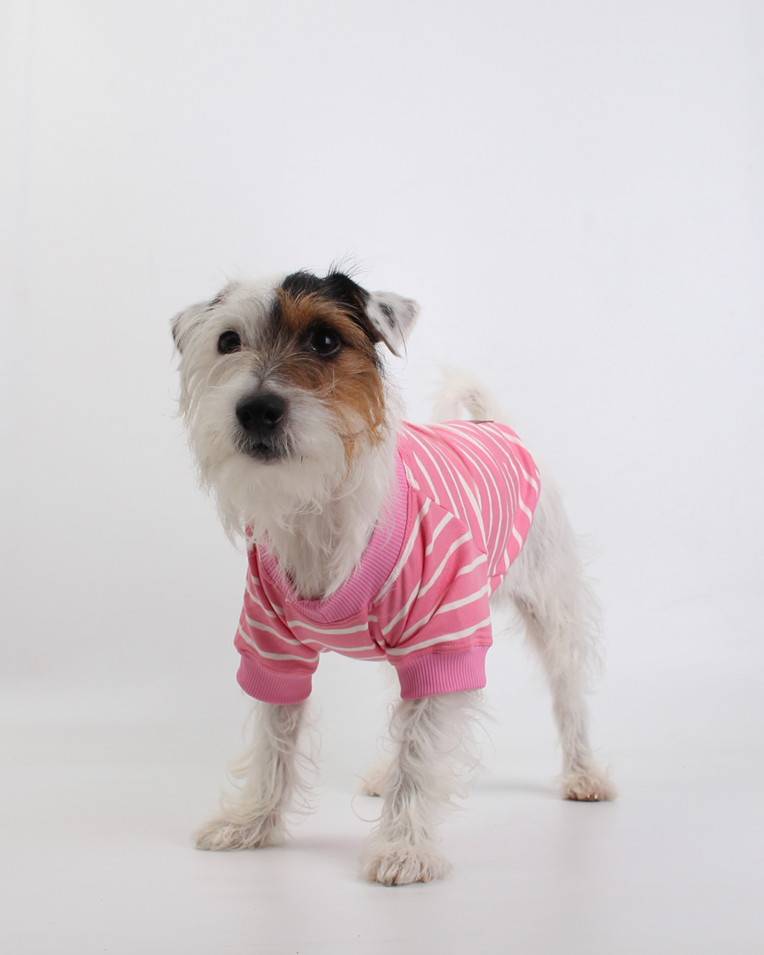CAMISETA PARA PET LISTRAS ROSA PEEPO