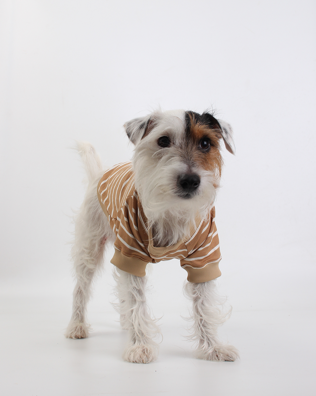 CAMISETA PARA PET LISTRAS MOCHA MOUSSE