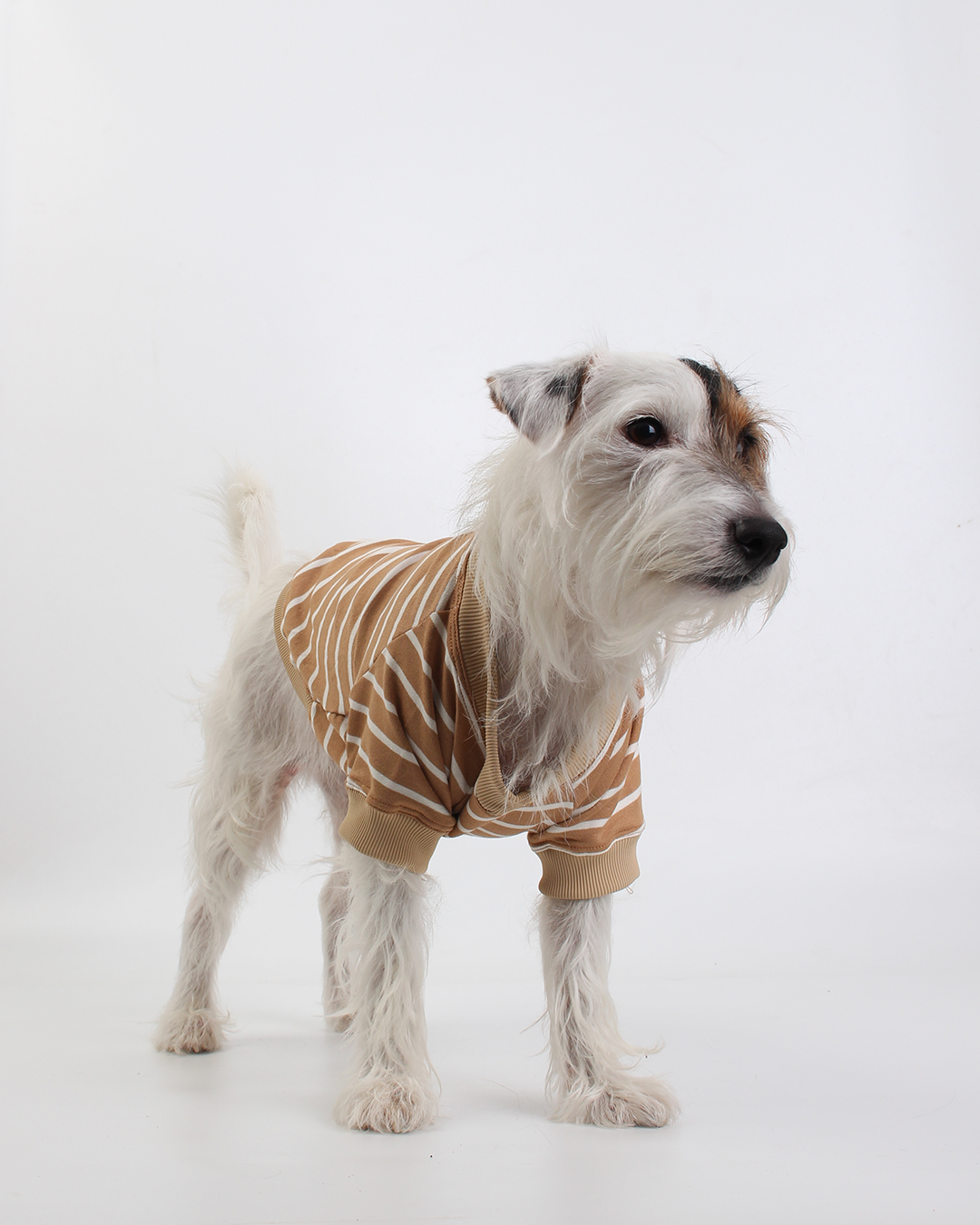 CAMISETA PARA PET LISTRAS MOCHA MOUSSE
