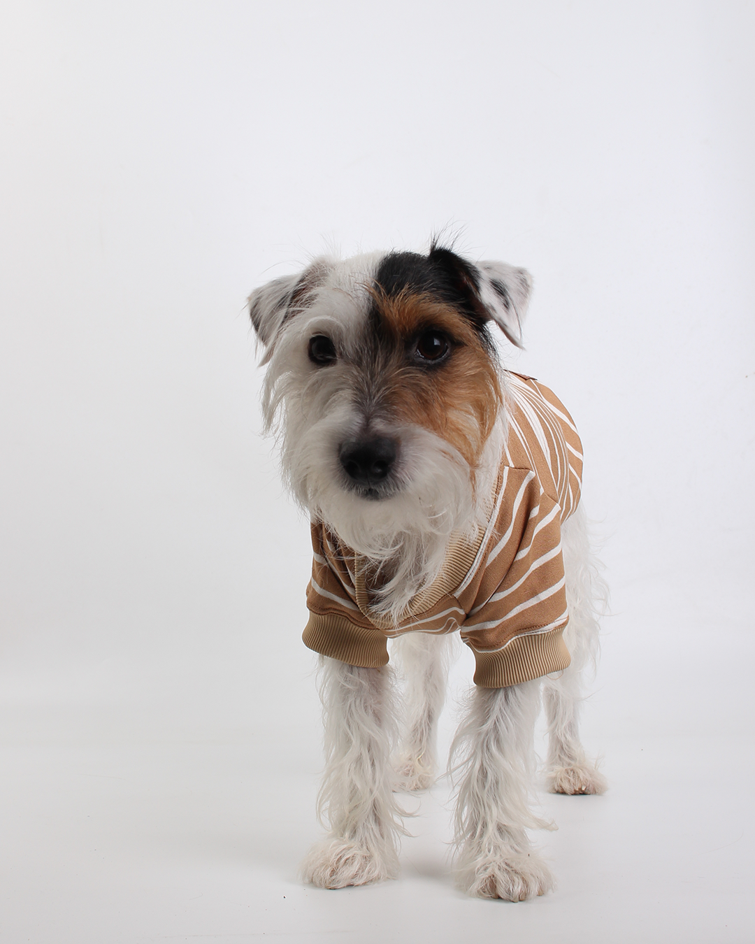 CAMISETA PARA PET LISTRAS MOCHA MOUSSE