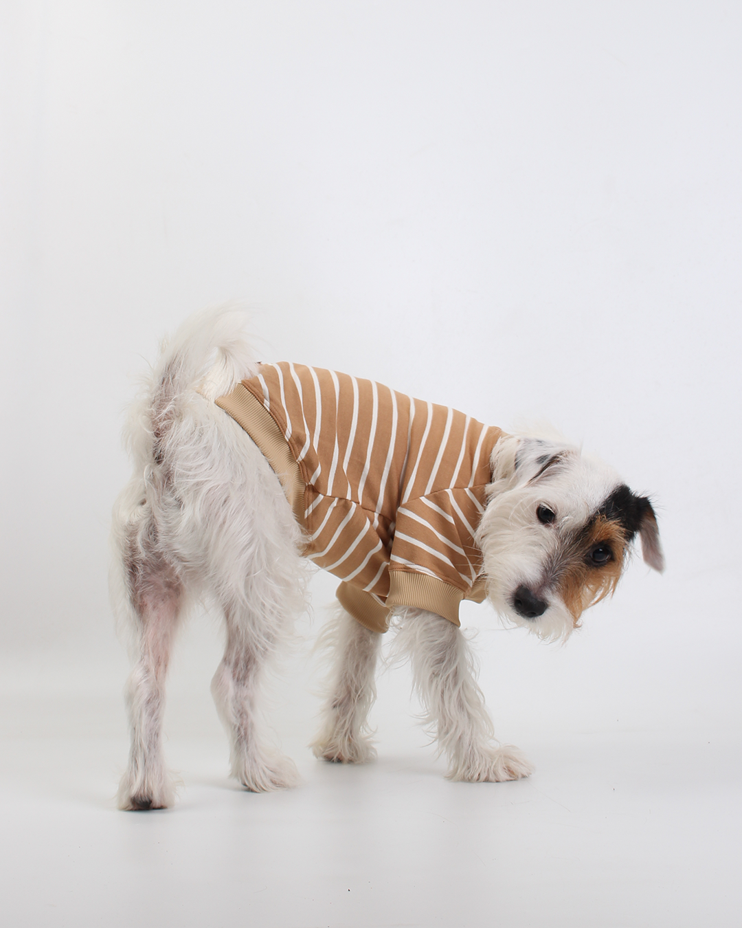 CAMISETA PARA PET LISTRAS MOCHA MOUSSE