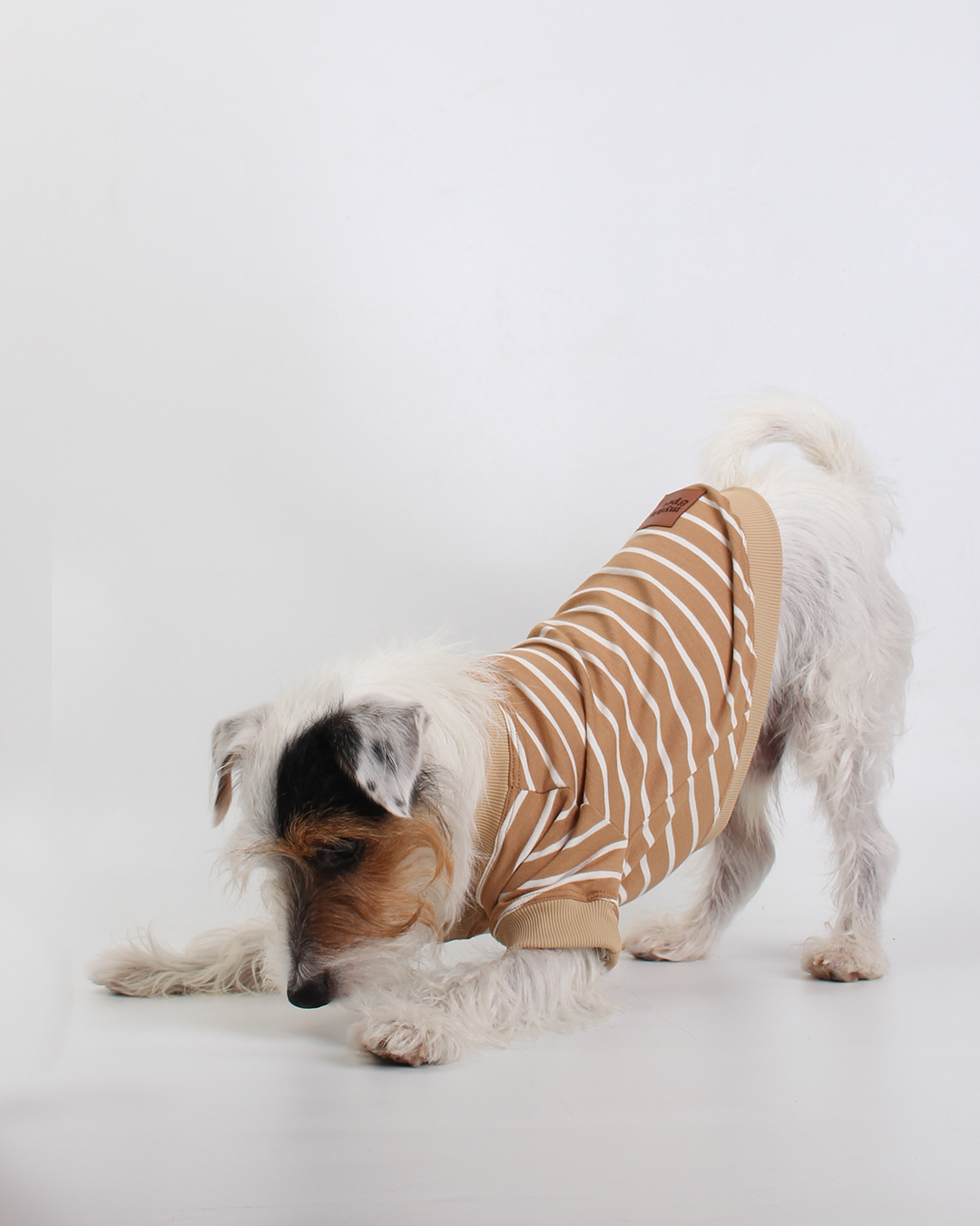 CAMISETA PARA PET LISTRAS MOCHA MOUSSE