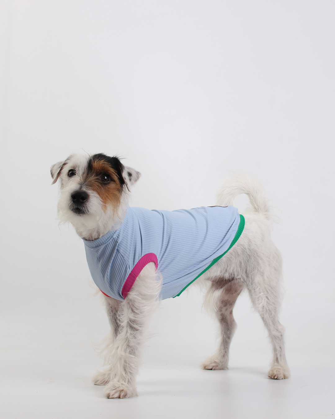REGATA PARA PET COM PROTEÇÃO UV AZUL BRISA