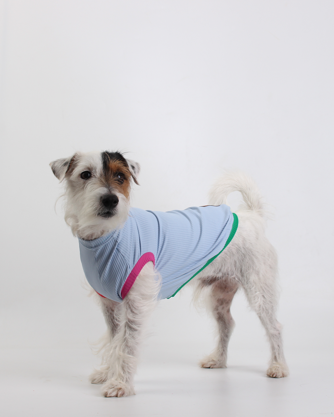 REGATA PARA PET COM PROTEÇÃO UV AZUL BRISA