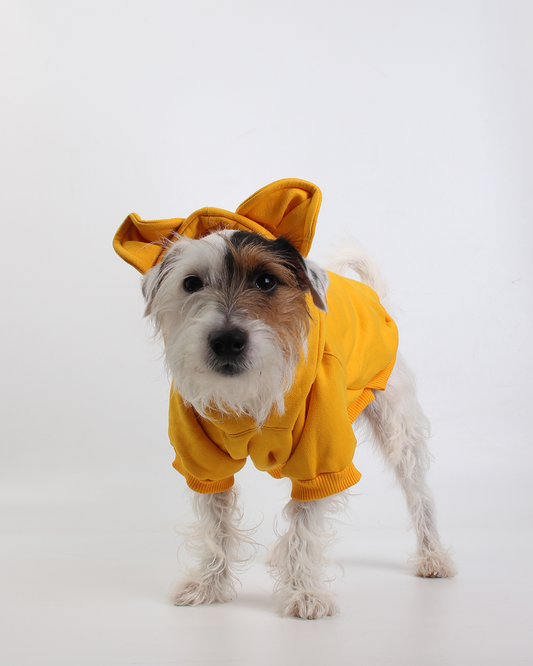 MOLETOM PARA PET URSO AMARELO POOH