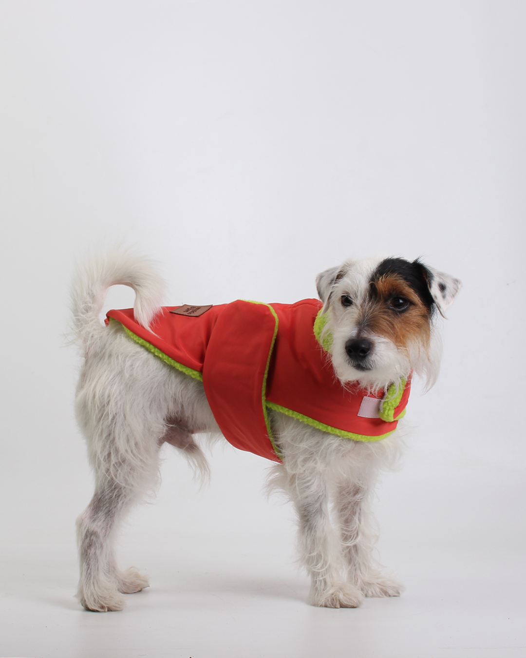 COLETE PARA PET TEDDY TANGERINE