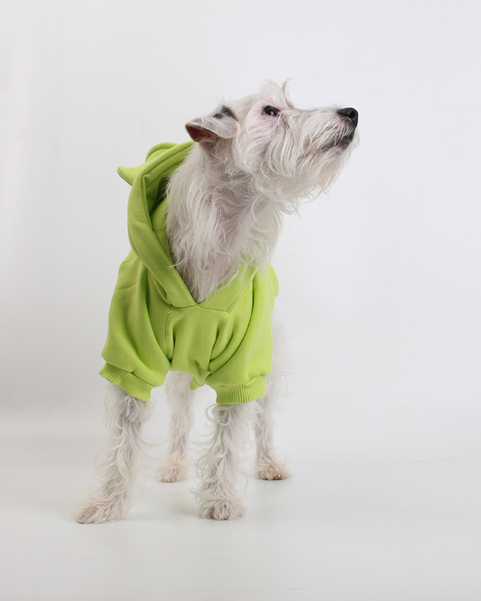 MOLETOM PARA PET URSO VERDE MAÇÃ