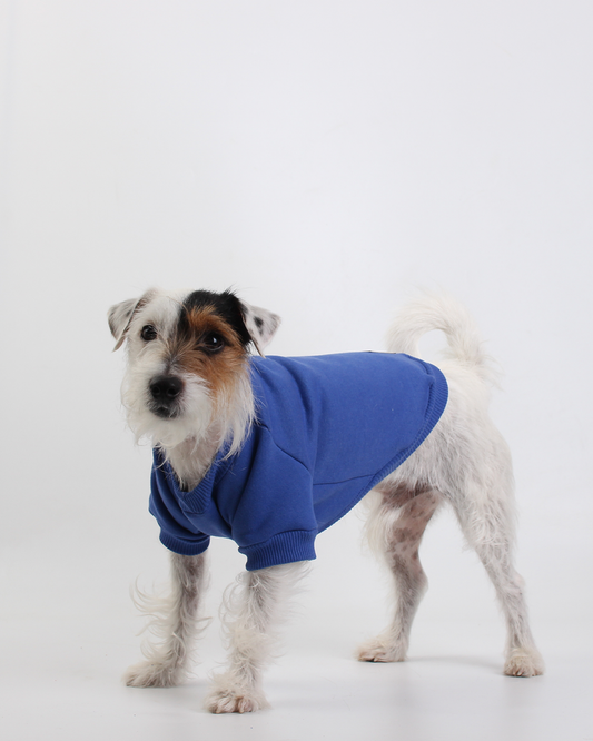 MOLETOM PARA PET BLUE JACK