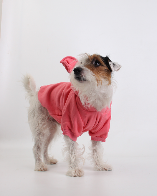 MOLETOM PARA PET URSO ROSA FLAMINGO