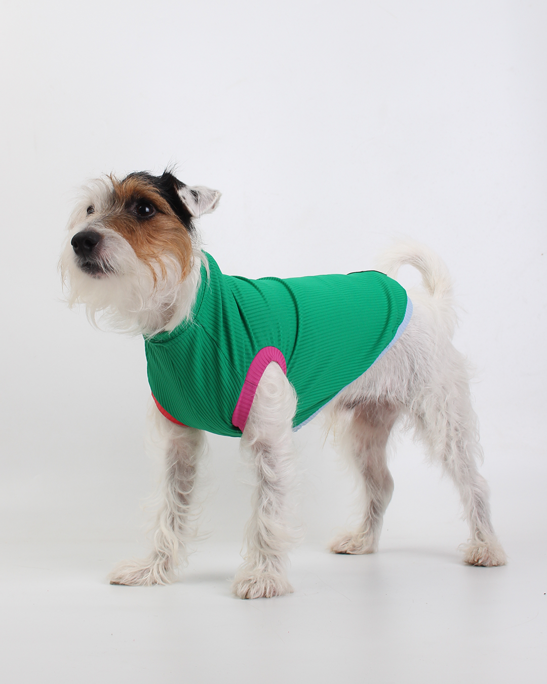 REGATA PARA PET COM PROTEÇÃO UV VERDE MARINA PARA PET