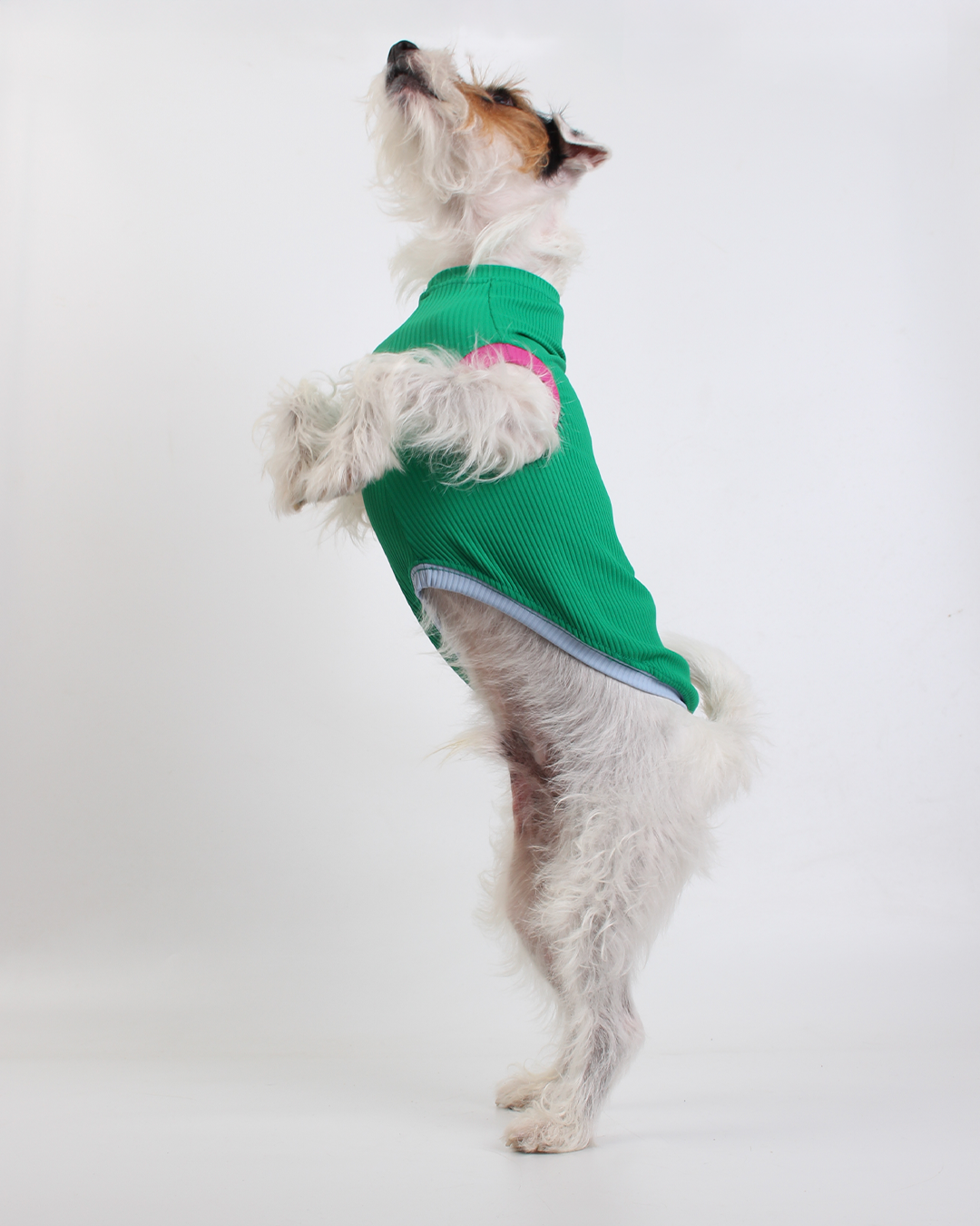 REGATA PARA PET COM PROTEÇÃO UV VERDE MARINA PARA PET