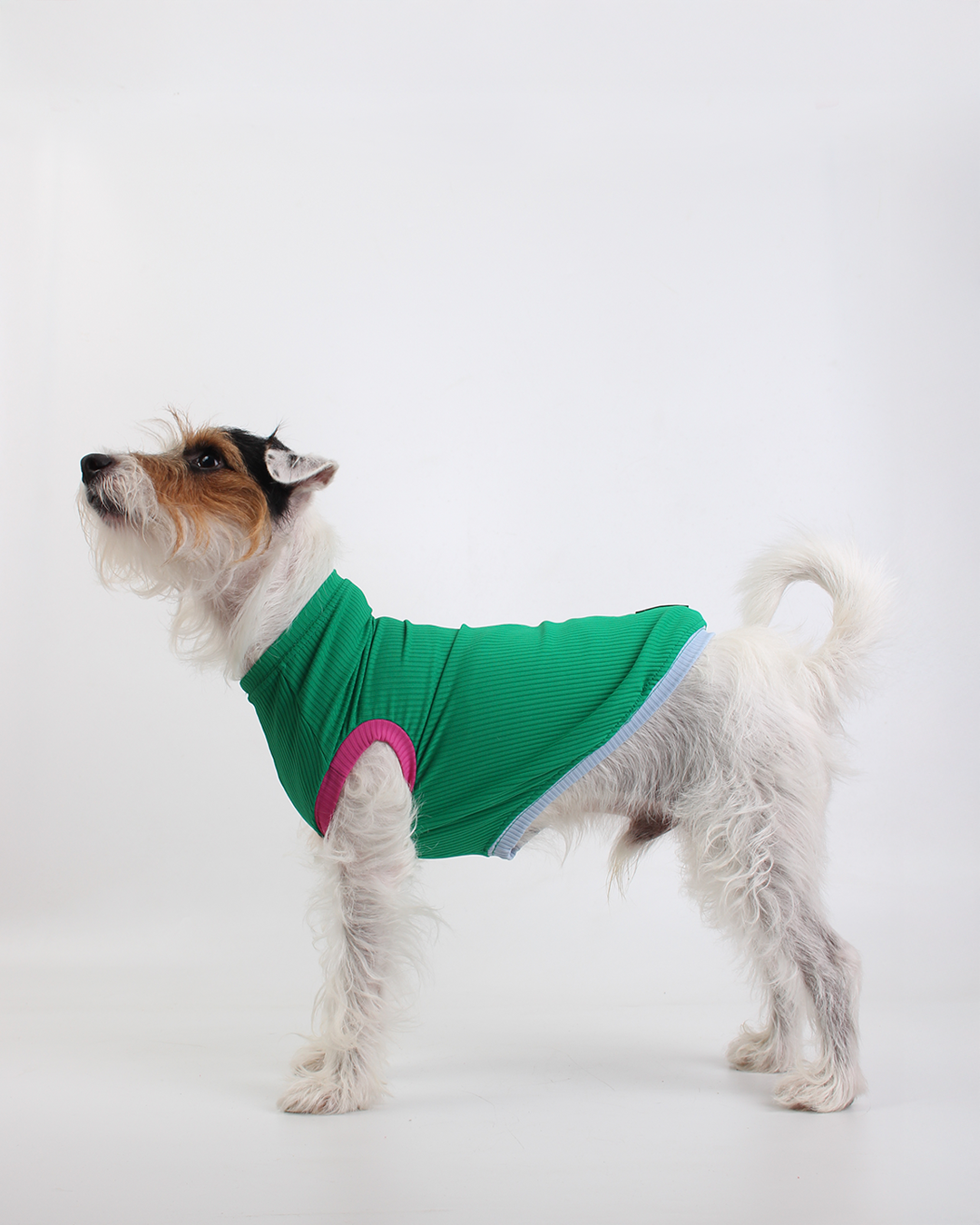 REGATA PARA PET COM PROTEÇÃO UV VERDE MARINA PARA PET
