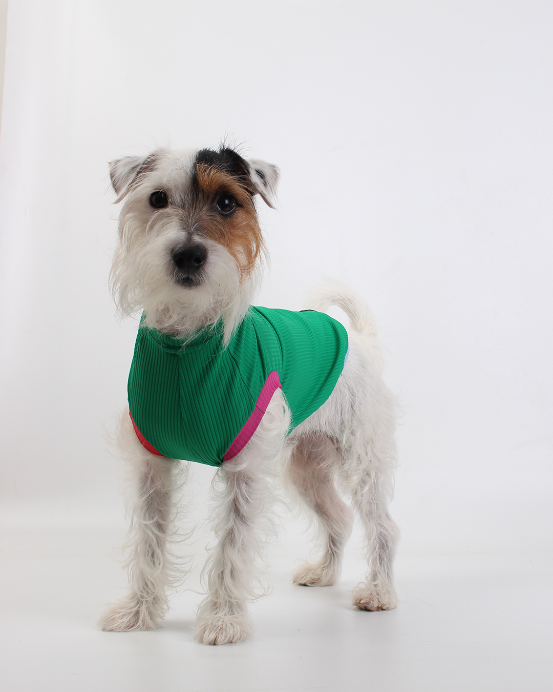 REGATA PARA PET COM PROTEÇÃO UV VERDE MARINA PARA PET