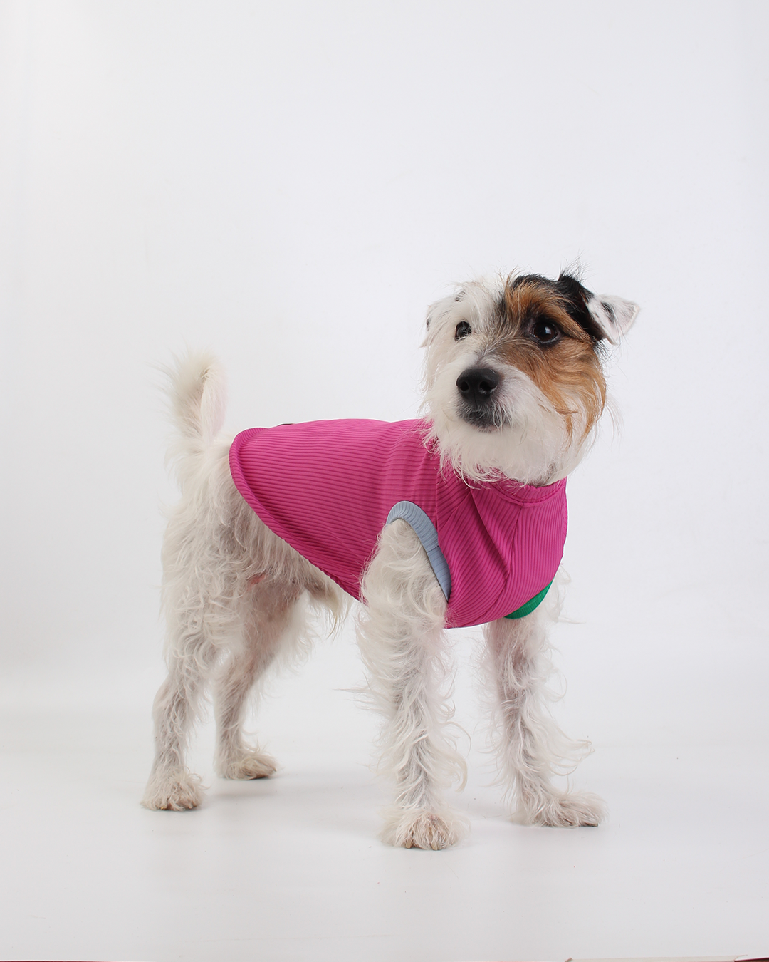 REGATA PARA PET COM PROTEÇÃO UV ROSA AURORA PARA PET