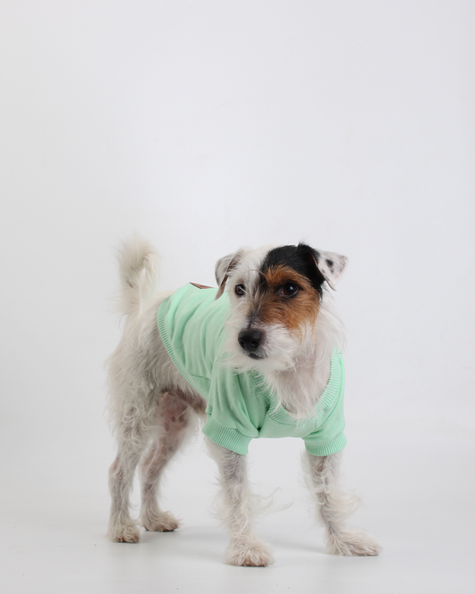 MOLETOM PARA PET VERDE LEELOO