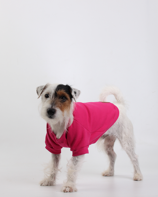 MOLETOM PARA PET BUBALOO