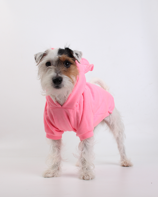 MOLETOM PARA PET URSO PINK NEON