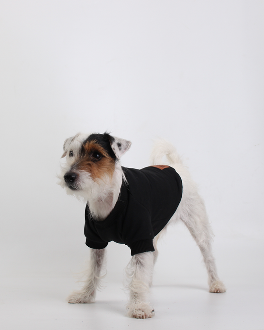 MOLETOM PARA PET PRETO OZZY