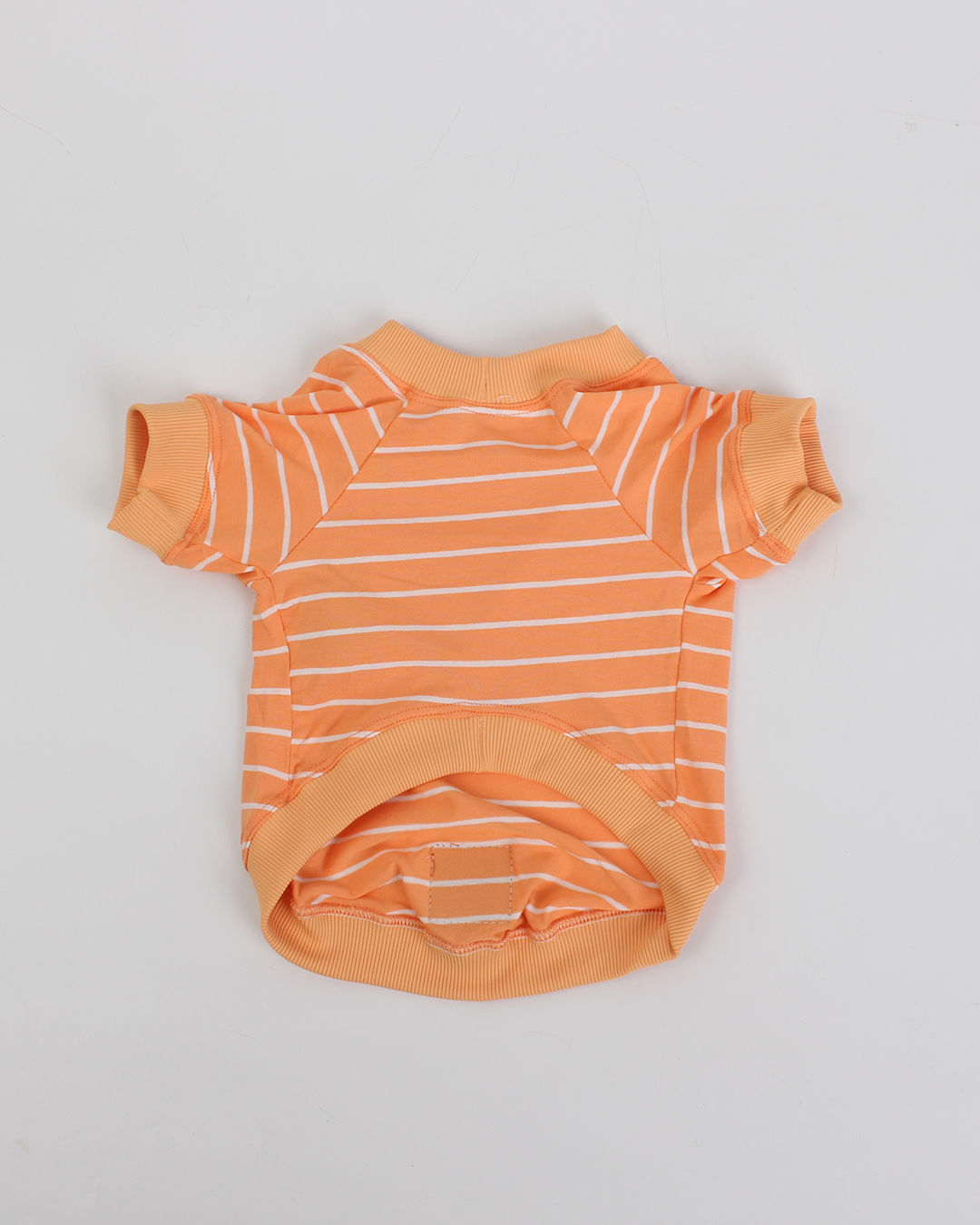 CAMISETA PARA PET LISTRAS LARANJA FELIZ