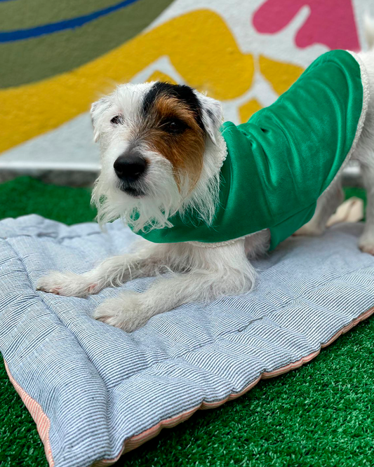 COLETE PARA PET SHEEP MOSS