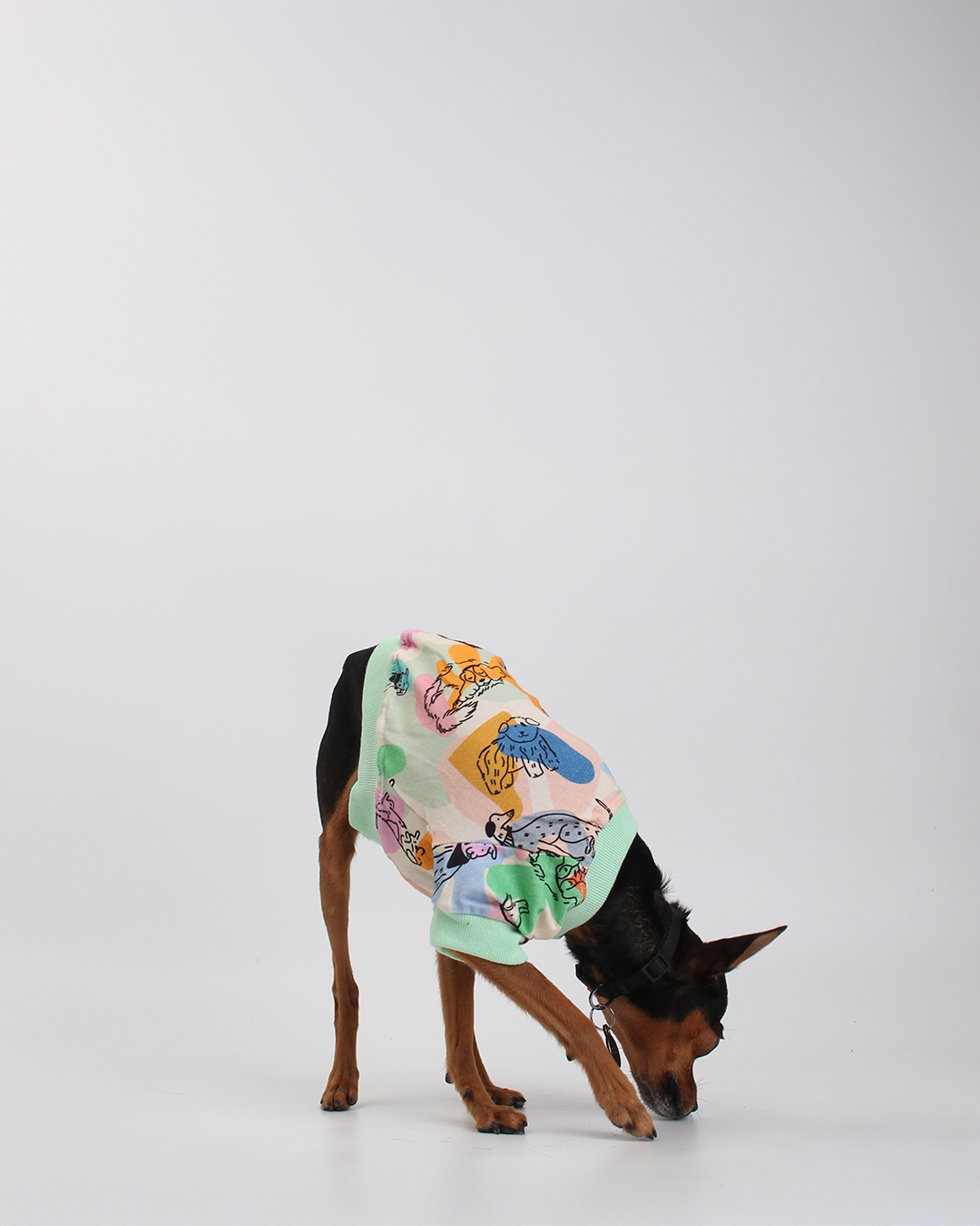 CAMISETA PARA PET MATISSE IN DOGS