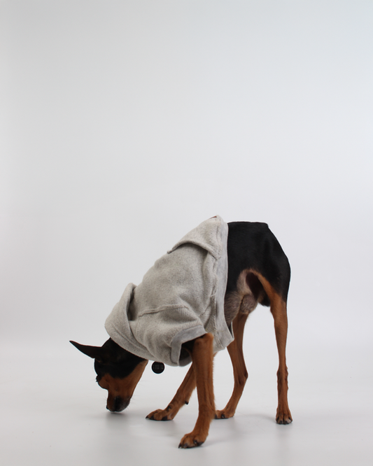 MOLETOM PARA PET CANGURU MESCLA FOFINHO