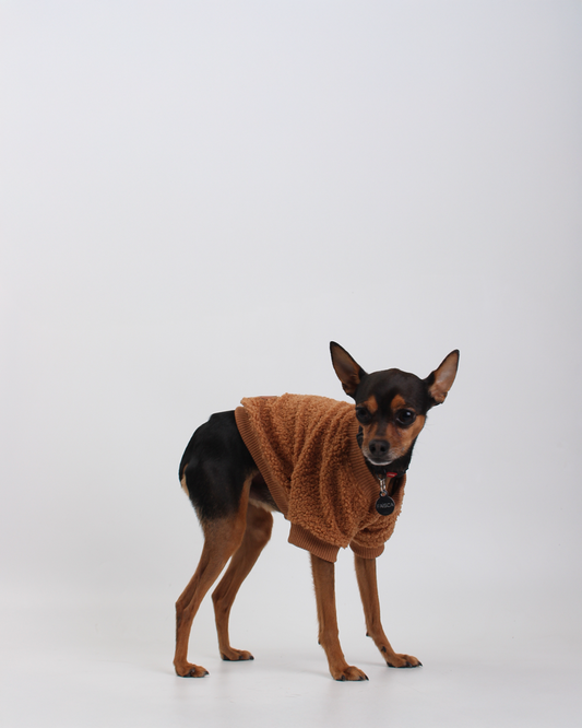 MOLETOM CARNEIRINHO PARA PET MARROM