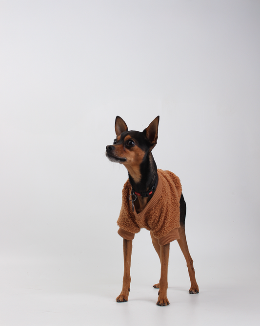 MOLETOM CARNEIRINHO PARA PET MARROM