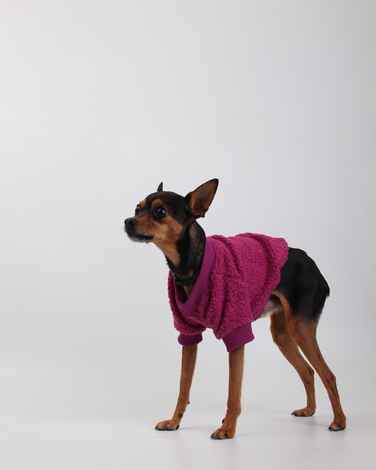 MOLETOM CARNEIRINHO PARA PET UVA