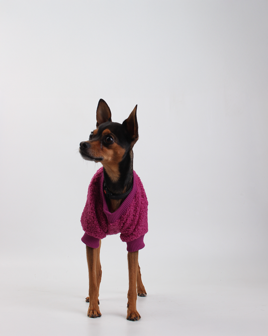 MOLETOM CARNEIRINHO PARA PET UVA