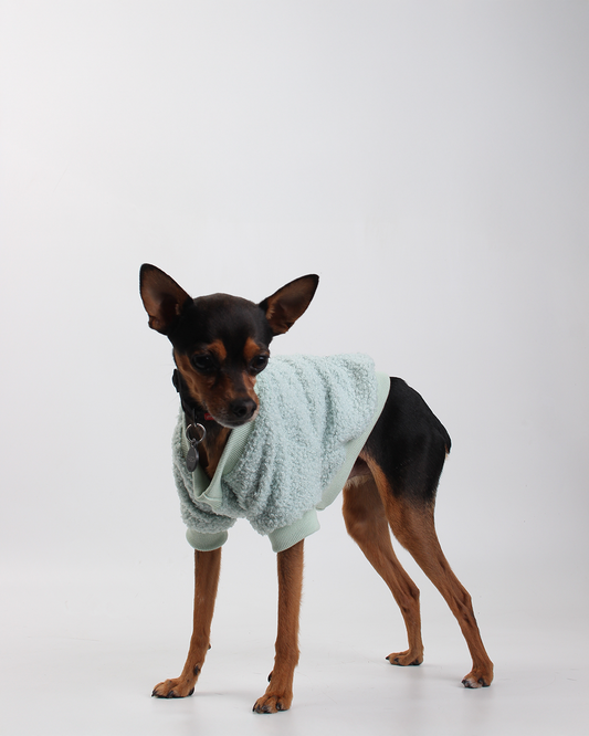 MOLETOM CARNEIRINHO PARA PET VERDE ÁGUA