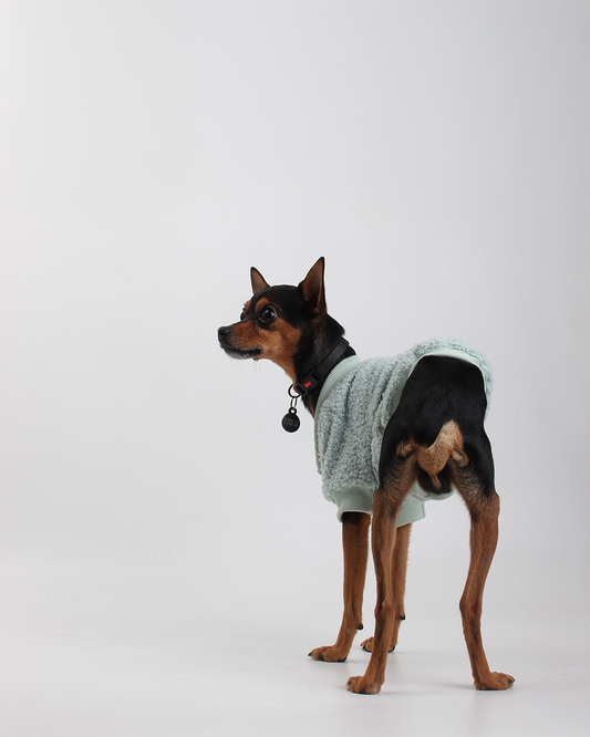 MOLETOM CARNEIRINHO PARA PET VERDE ÁGUA