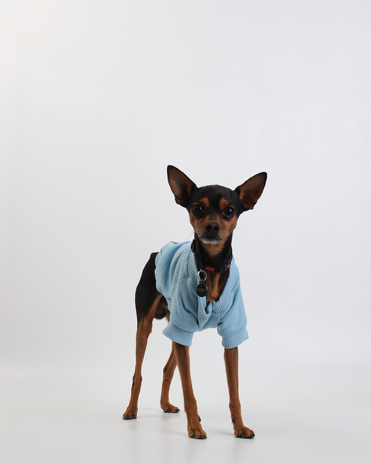 MOLETOM BÁSICO PARA PET AZUL