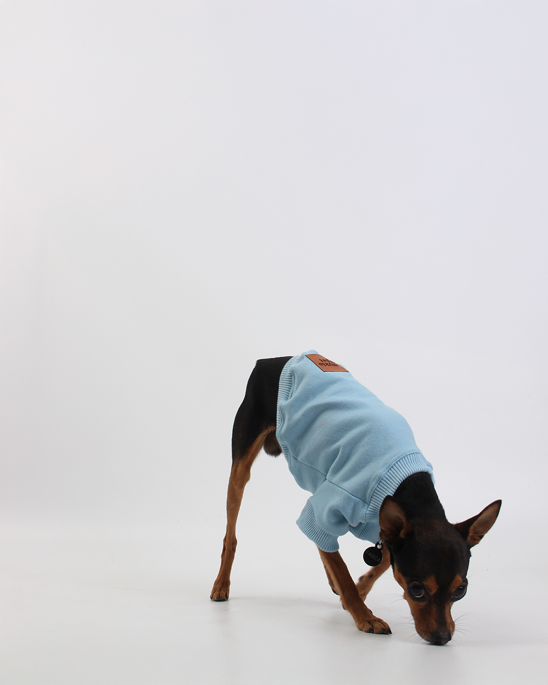 MOLETOM BÁSICO PARA PET AZUL