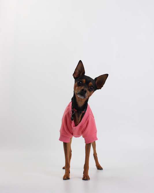 MOLETOM BÁSICO PARA PET PESSEGO