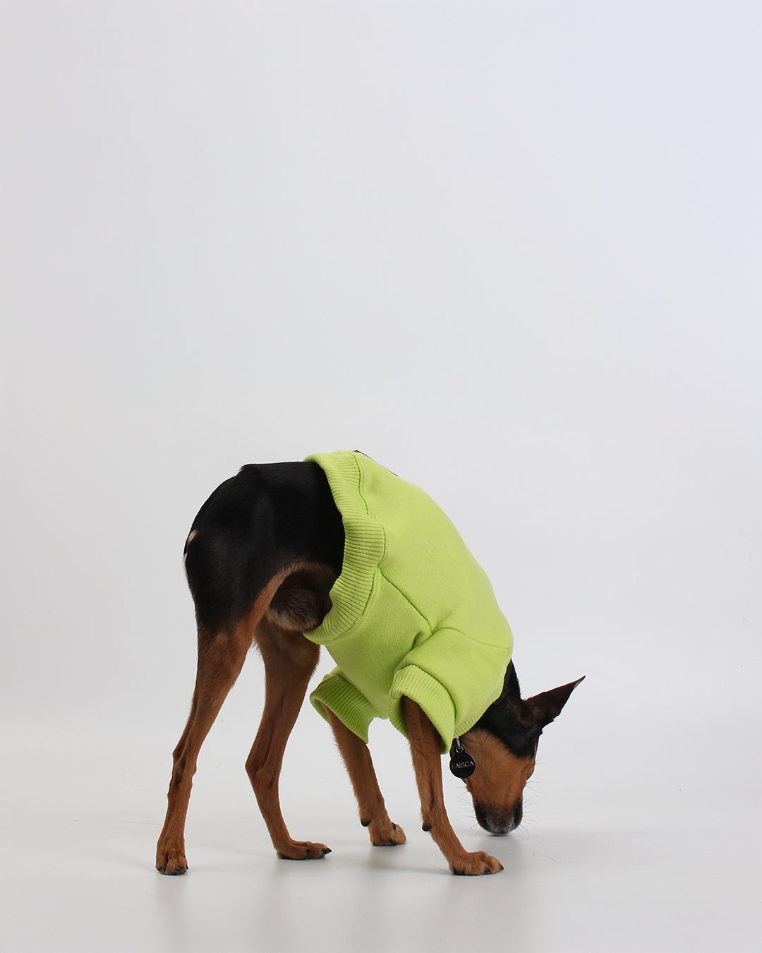 MOLETOM BÁSICO PARA PET VERDE NEON