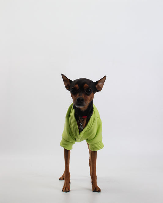 MOLETOM BÁSICO PARA PET VERDE NEON