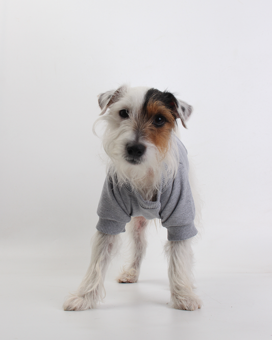 MOLETOM BÁSICO PARA PET CINZA MESCLA COOL