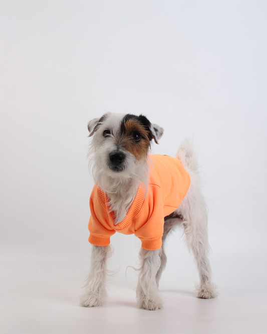 MOLETOM BÁSICO PARA PET LARANJA