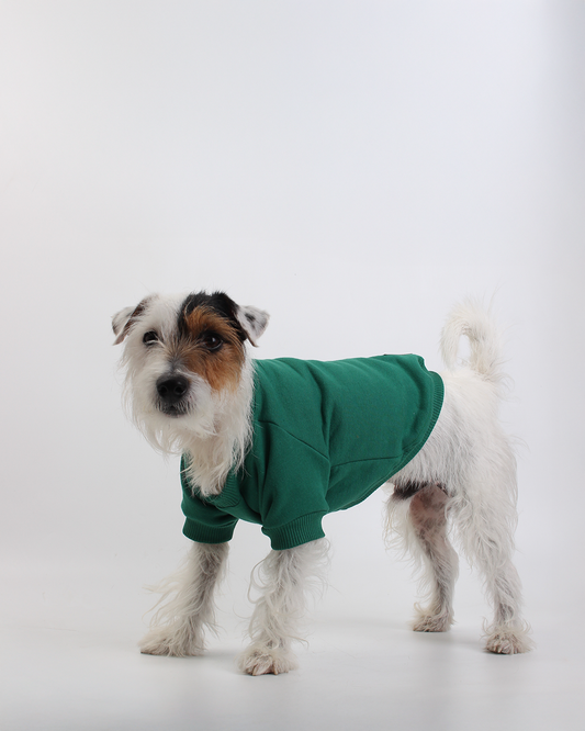 MOLETOM BÁSICO PARA PET VERDE