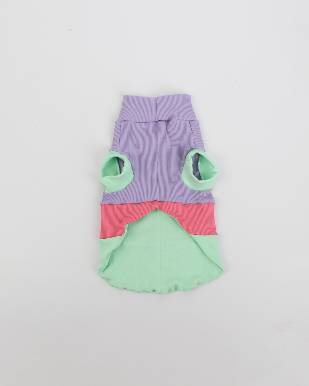 CACHORREL PARA PET STEVE DOGS PONG