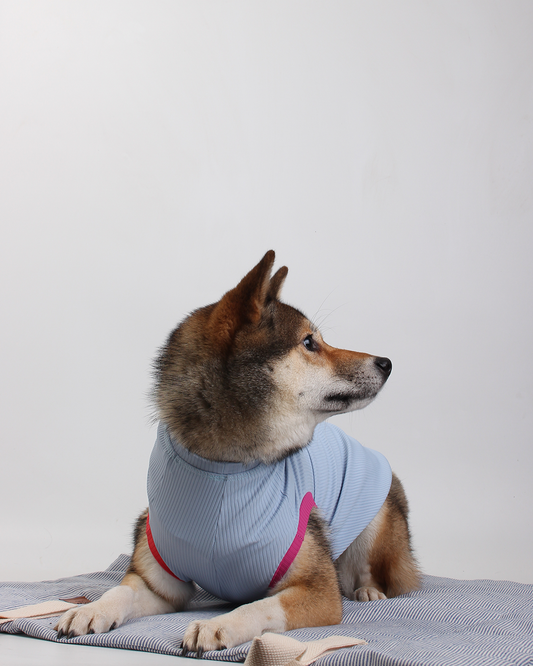 REGATA PARA PET COM PROTEÇÃO UV AZUL BRISA