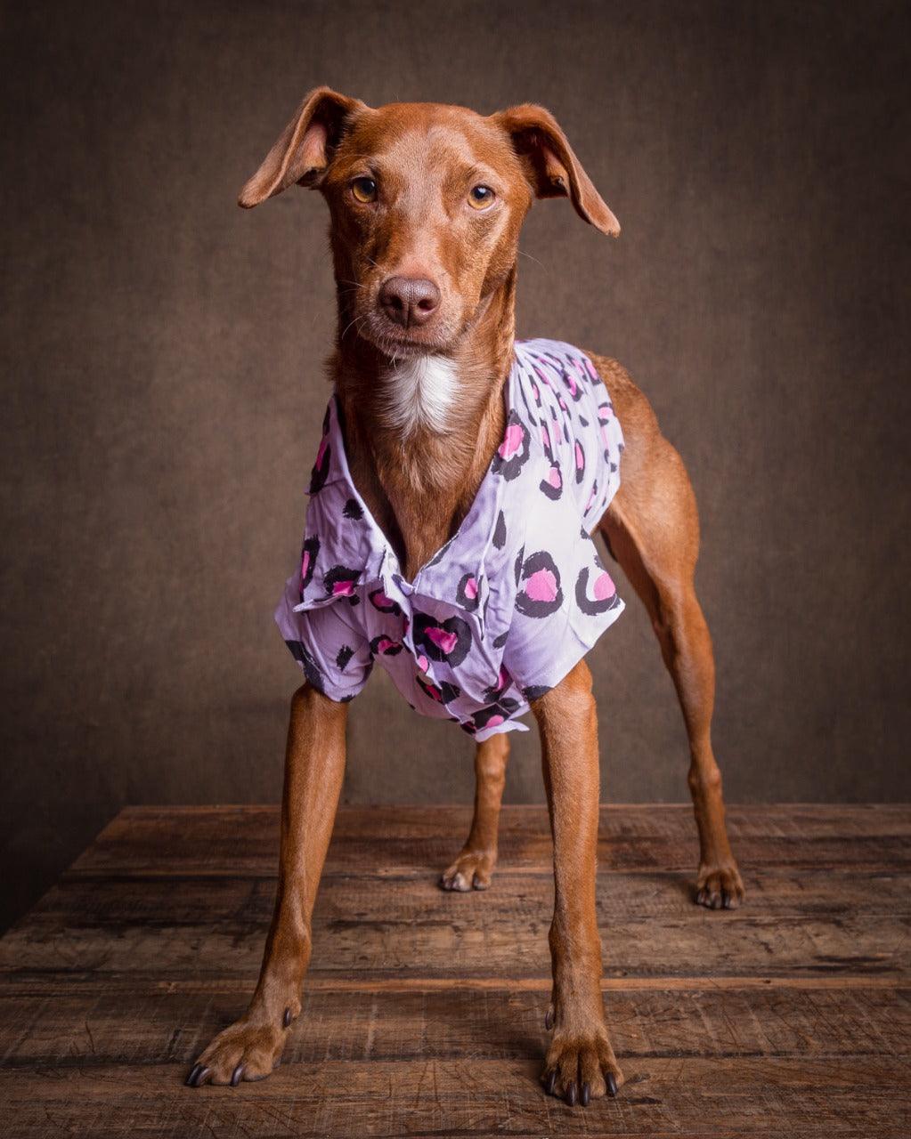 CAMISA PURPLE WILD Myklo And Pet